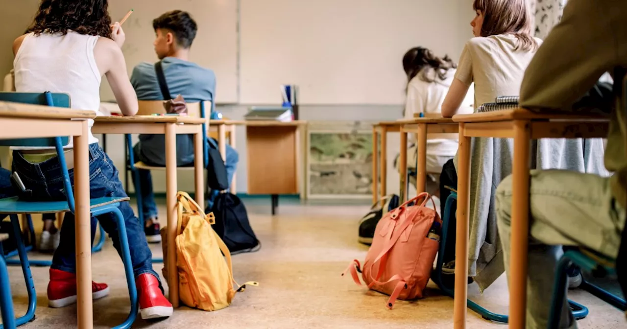 Une collégienne de 14 ans écrit une lettre à Emmanuel Macron pour modifier le rythme scolaire