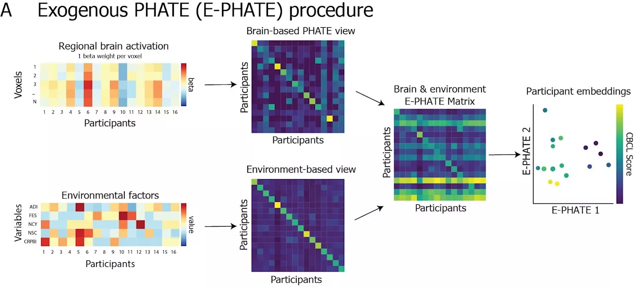 New approach can help detect, predict mental health symptoms in adolescents by analyzing brain-environment interactions