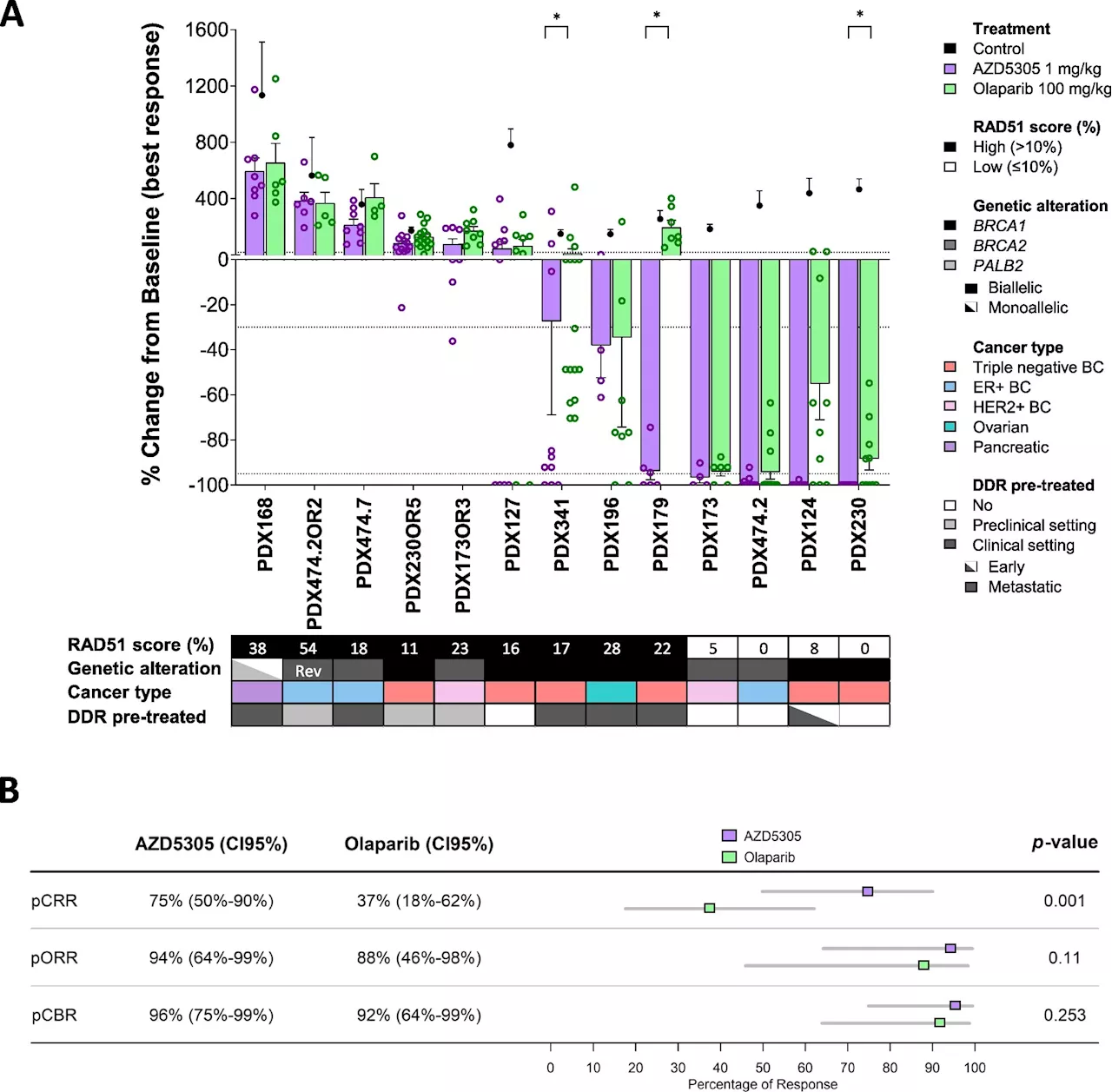 PARP1 selective inhibitor yields potent and durable antitumor activity in patient-derived preclinical models