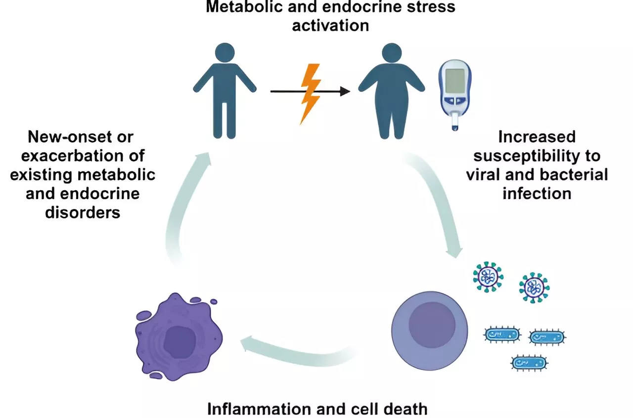 Researchers propose multimodal approach to tackle post-acute infectious syndromes, including long COVID