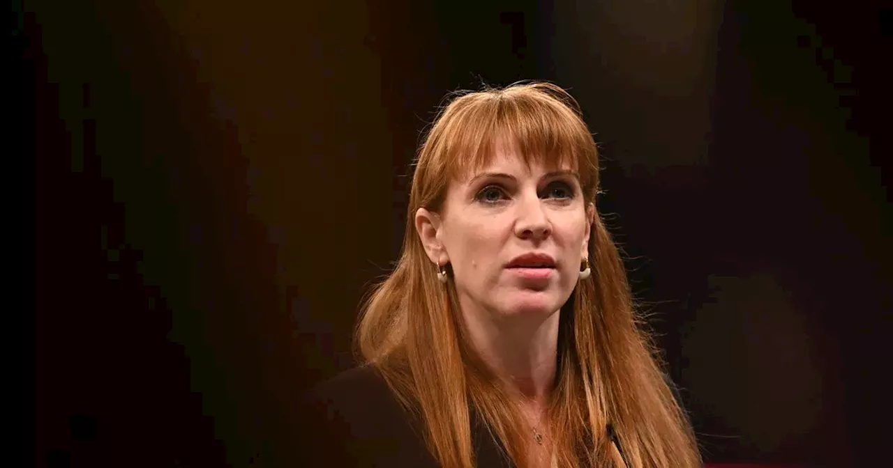 Labour's Angela Rayner evades questions on scrapping council tax discount for single residents