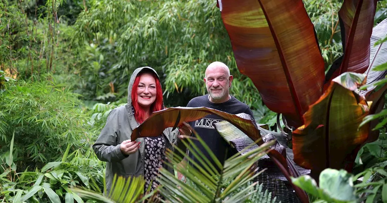 The jungle paradise hidden deep in suburban Salford that people are paying to visit