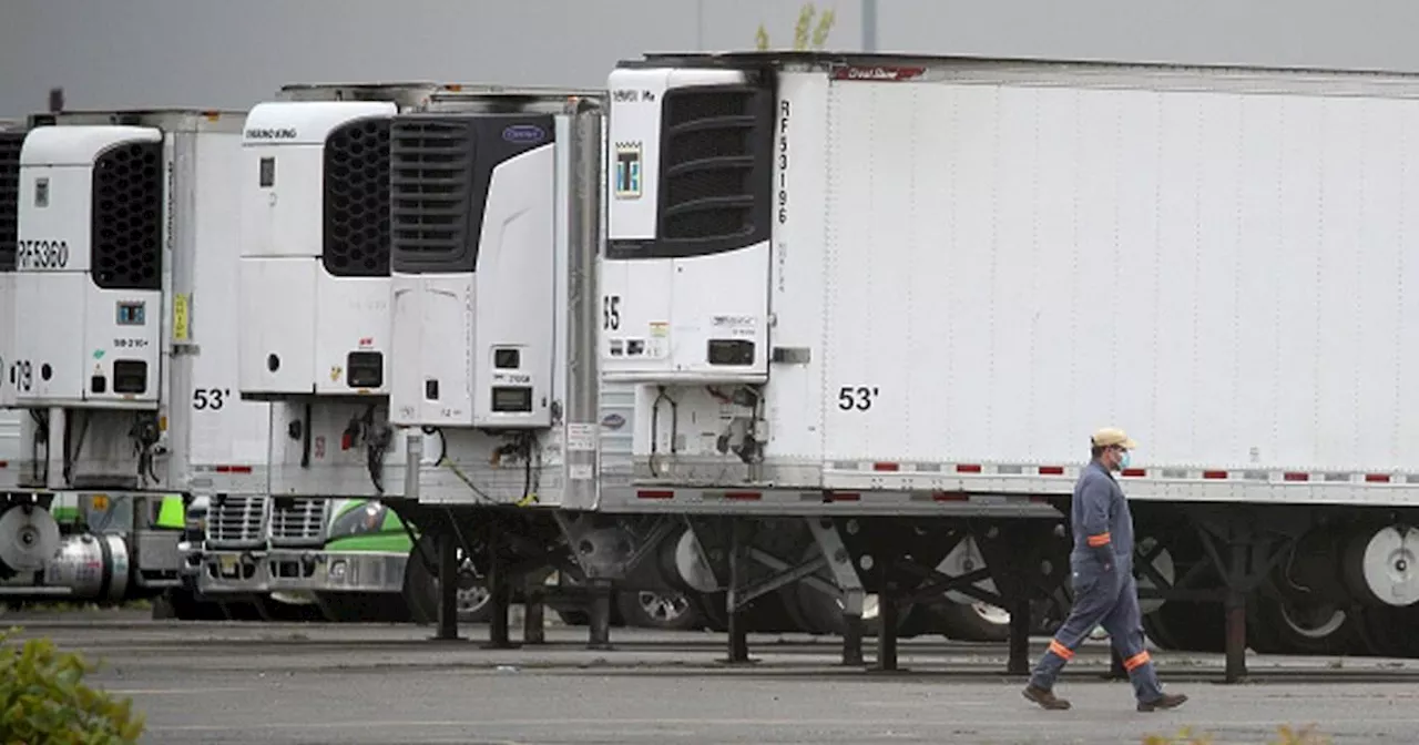 Group stuck in refrigerated lorry dial 999 to avoid 'dying by cold'