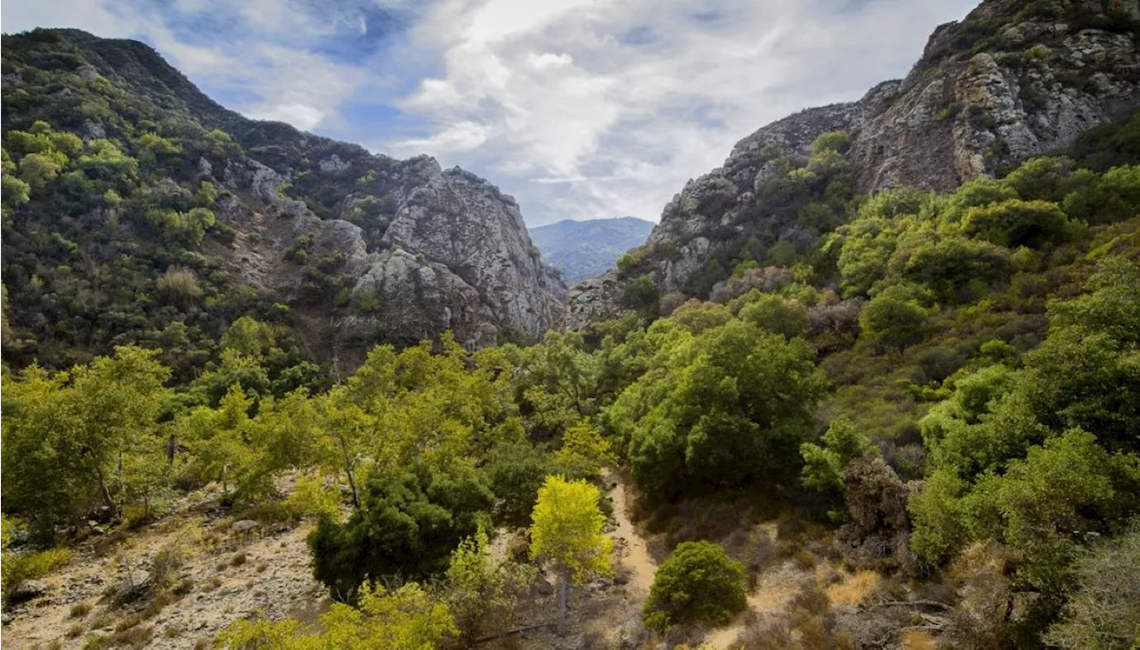 5-year-old boy attacked by mountain lion during family picnic at Malibu Creek State Park