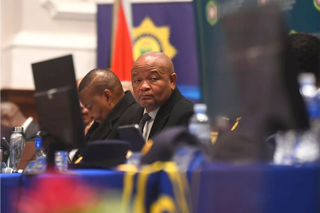 Police Minister Senzo Mchunu calls extortionists 'murderous parasites'