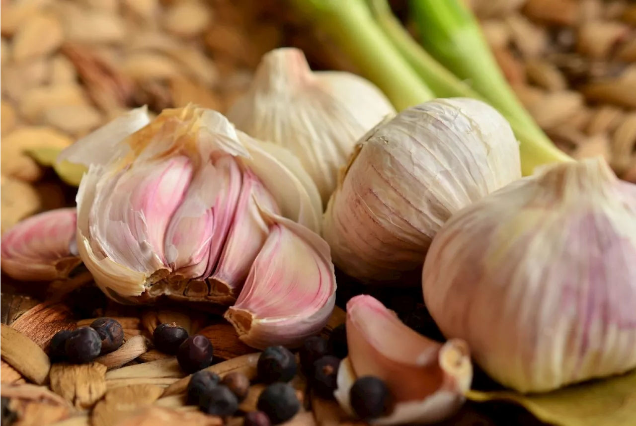 Research examines garlic’s phytochemicals and their role in blood pressure reduction