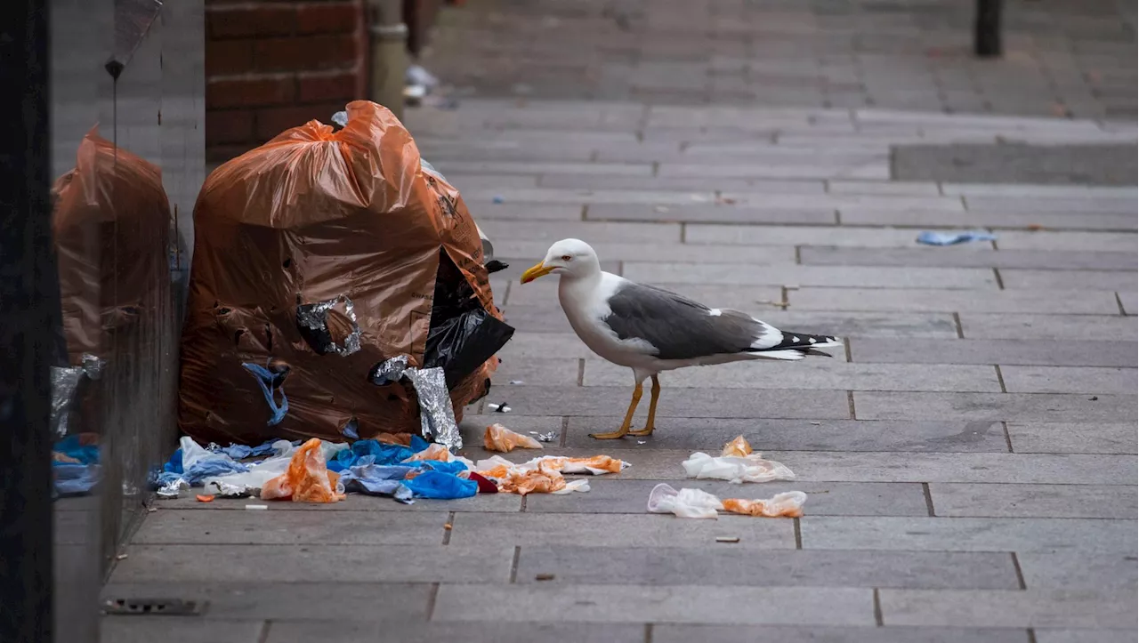  New waste strategy to remove plastic rubbish bags from Dublin city