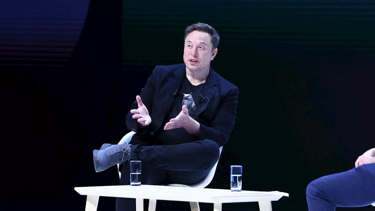 Elon Musk Shares Theory That Only 'Alpha Males' Should Vote