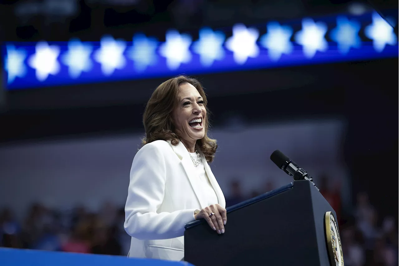 Kamala Harris Gets Good Sign on Key Trump Issues: Poll