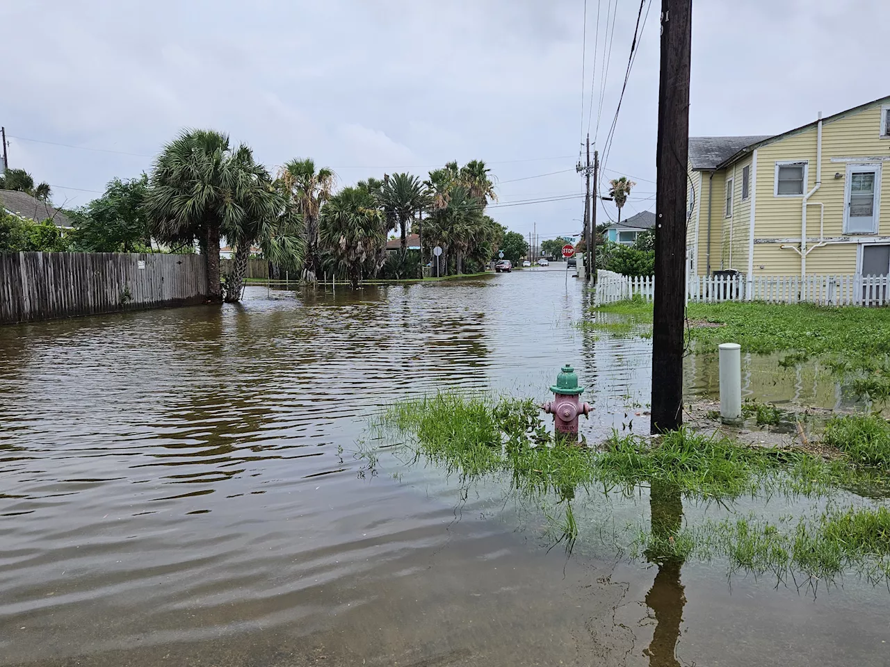 Map Shows Where Nearly Foot of Rain Could Fall This Week