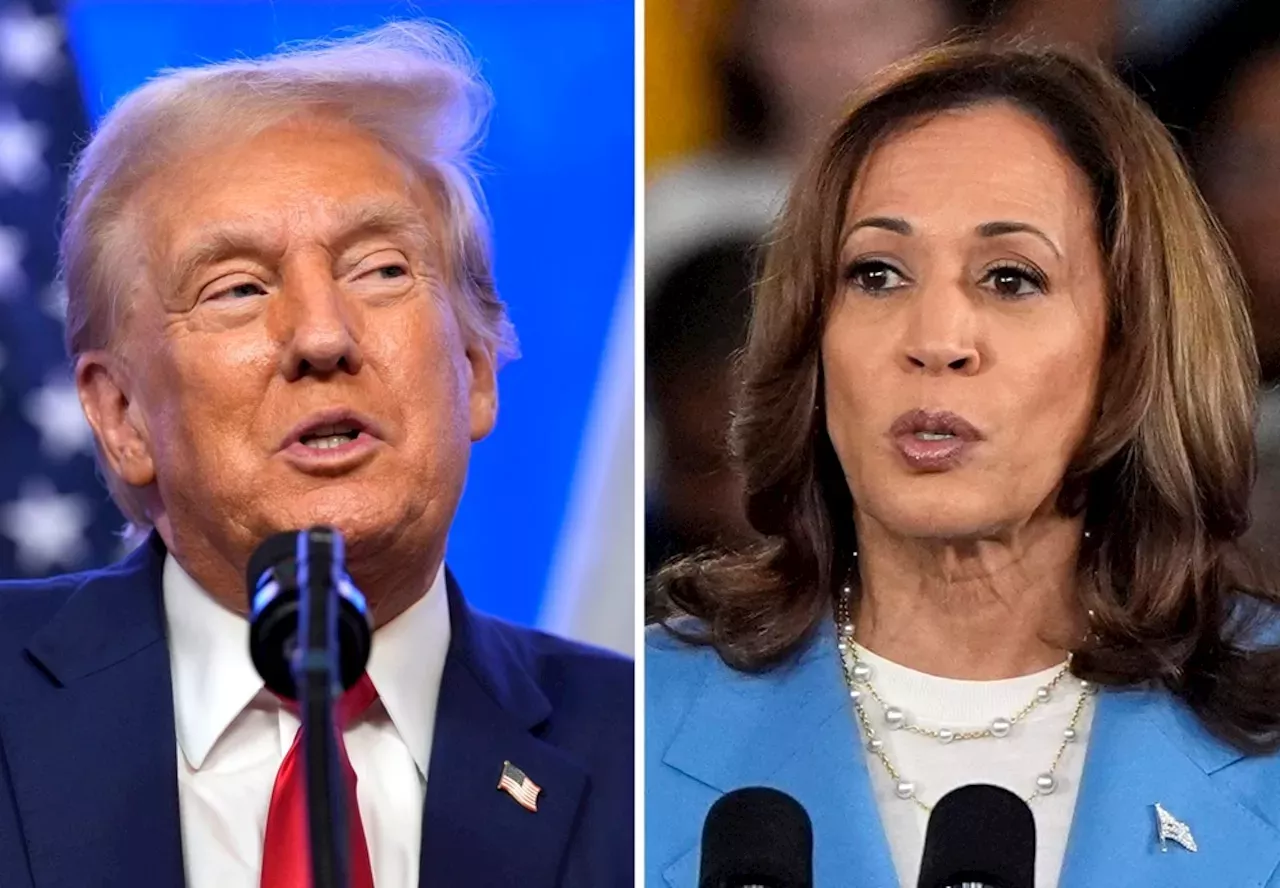 2024 Presidential Polls Trump Vs Harris Hannah Melany