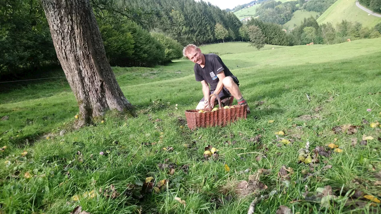 Gute Ernte, Landessieg und Goldene Eisenwurzen für die Adelsbergers