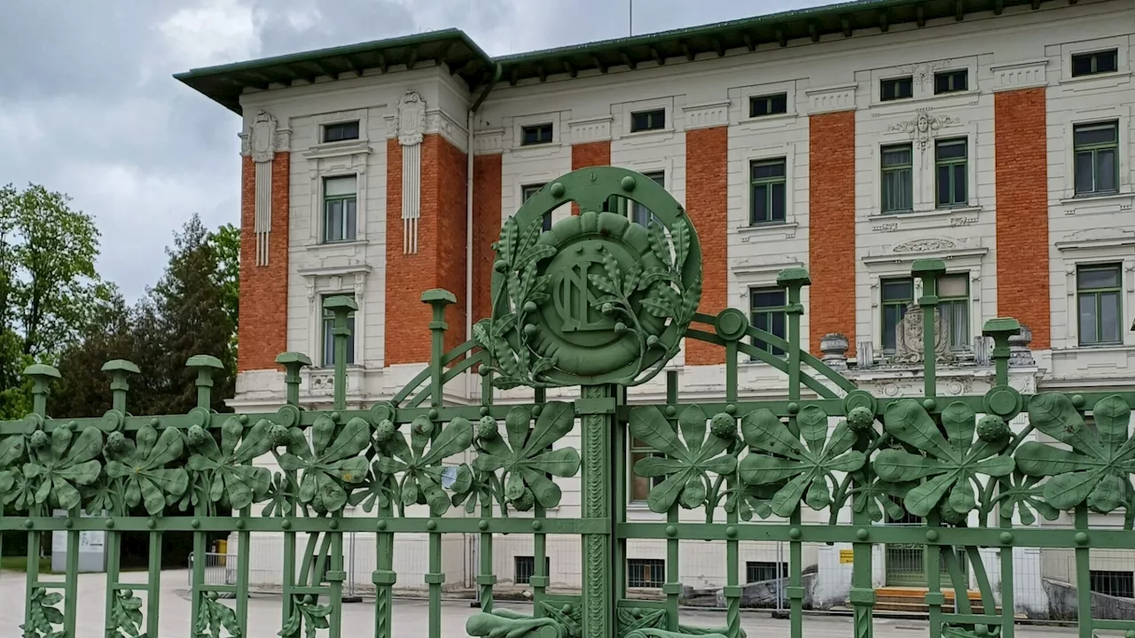 Landesklinikum Mauer: Der Mensch und andere Wunder