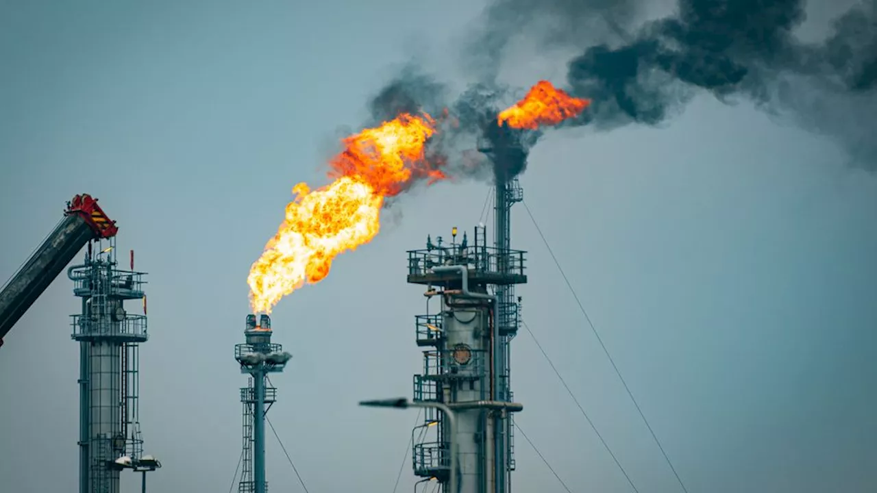 Europoort en Hoek van Holland zonder stroom, duizenden klanten getroffen