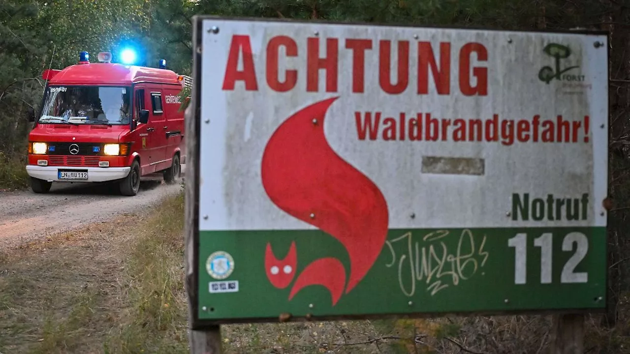 Berlin & Brandenburg: Brandenburg will Vorbeugung gegen Waldbrände verbessern