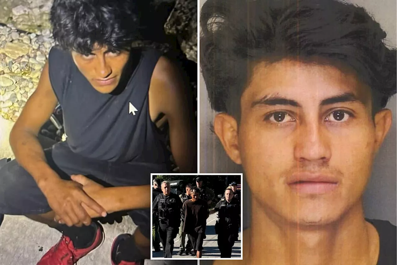 Once-deported migrant arrested after 'intense manhunt' following random stabbing of teen girl at baseball game