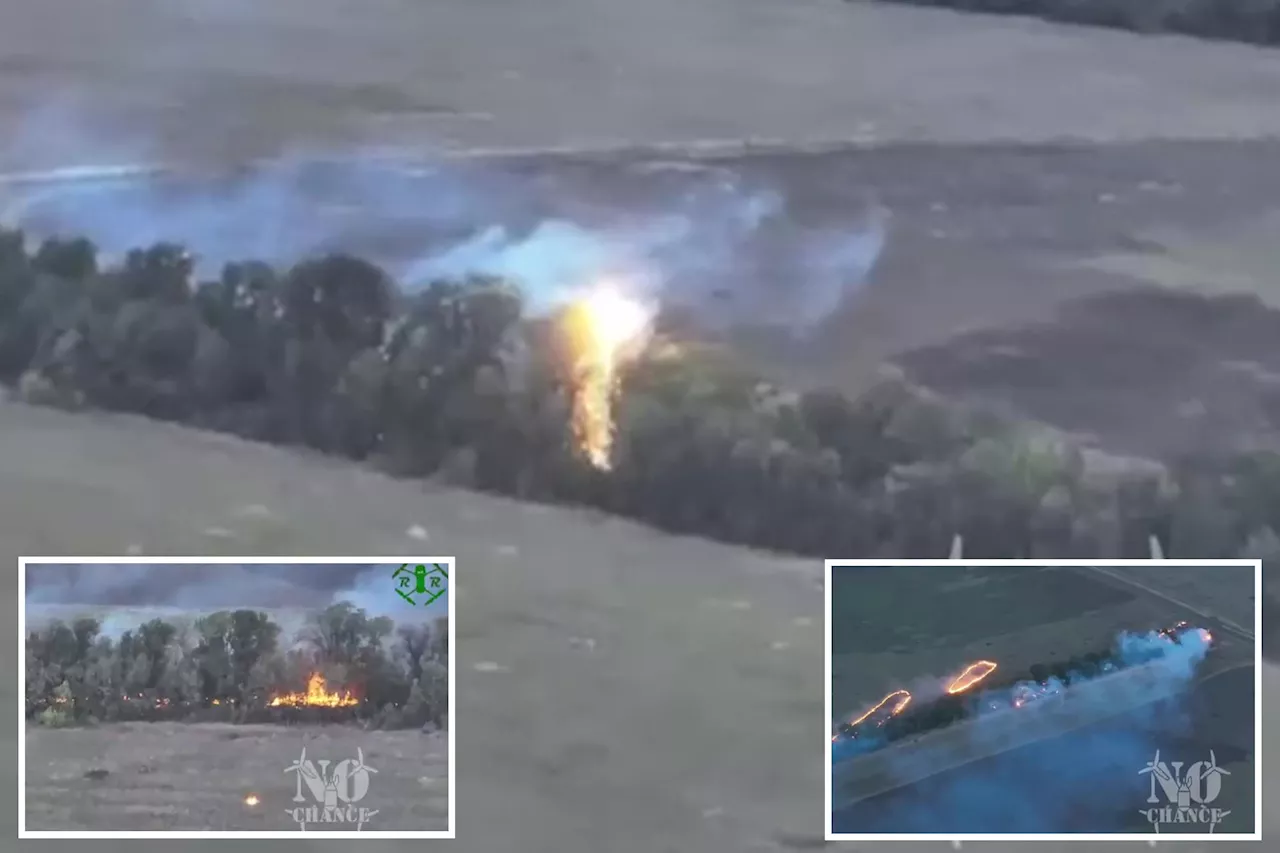 Ukraine uses flame thrower drone to burn Russians out of tree line: video