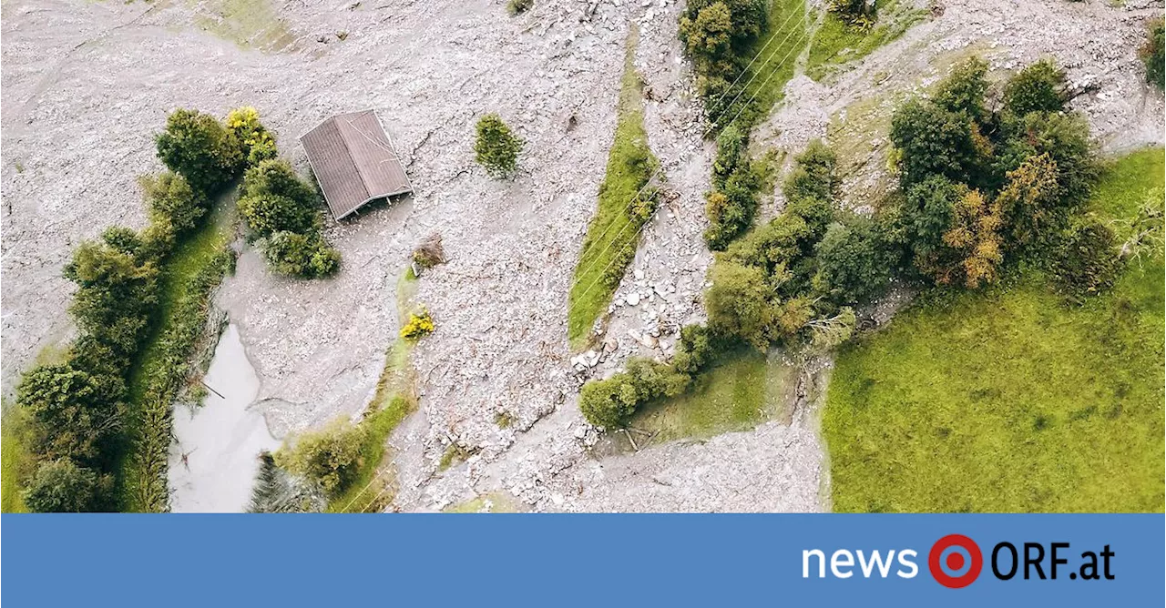 Wahlkampf: Klimaschutz im Programmcheck