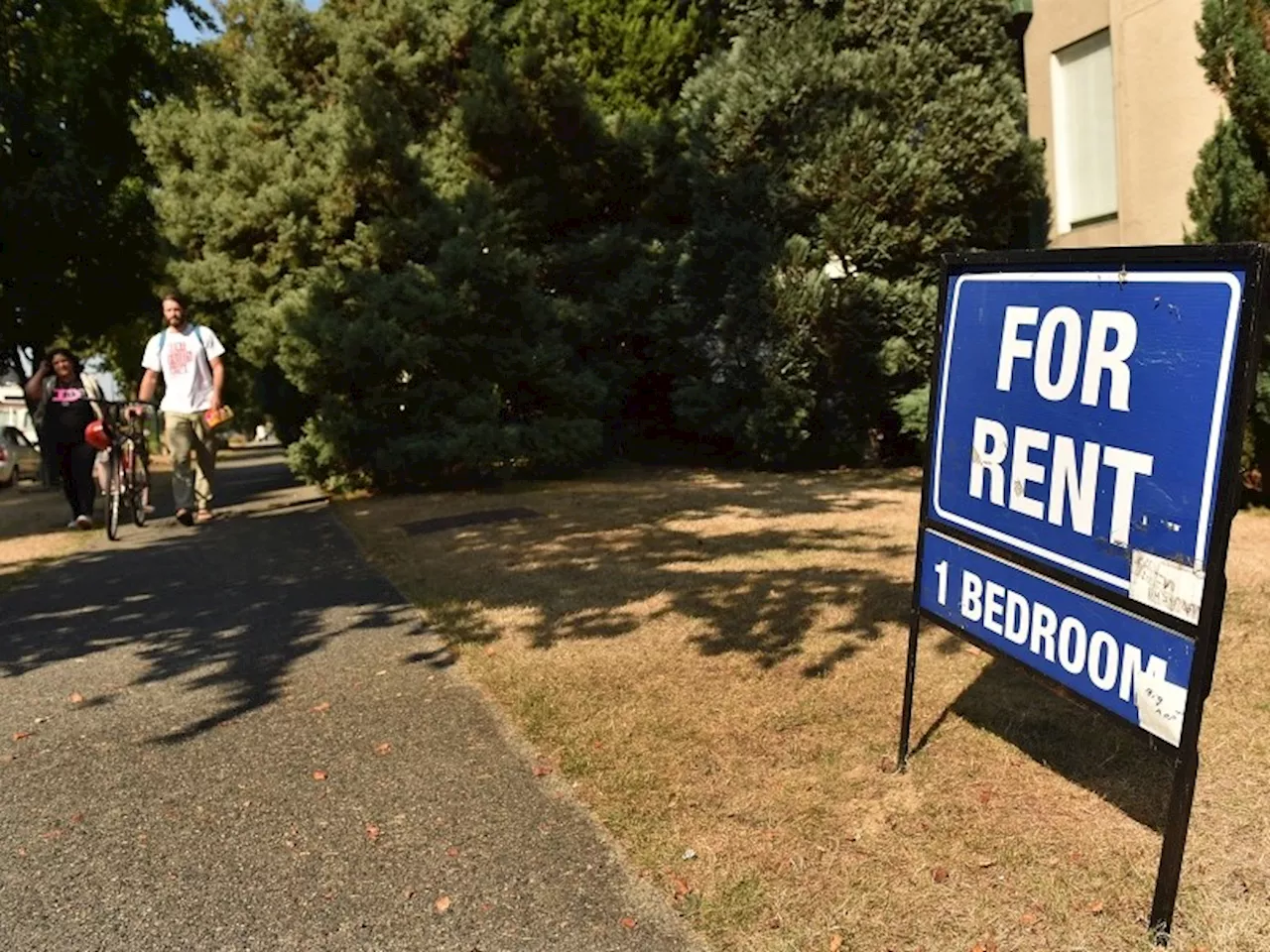 University students looking for a place to rent are finding it just a little easier