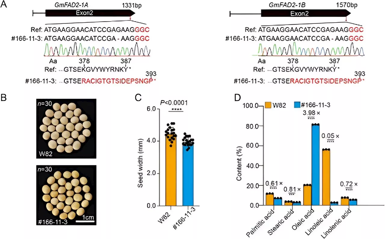 Breaking boundaries: PAM-less genome editing in soybean