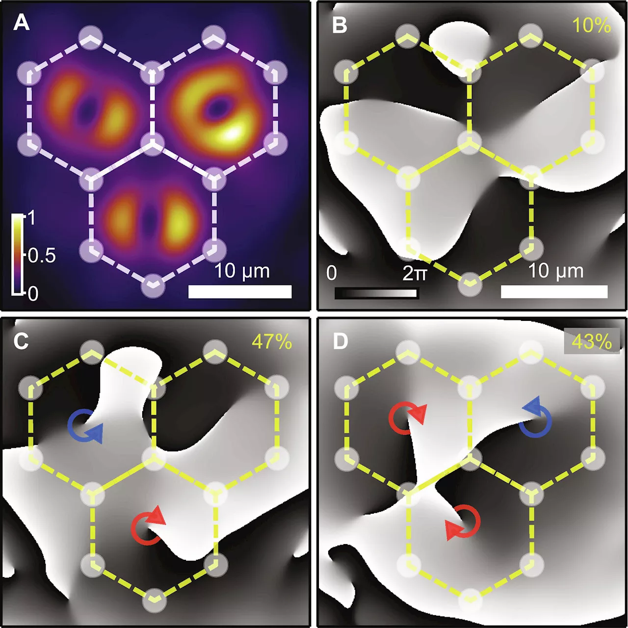 Researchers demonstrate spontaneous synchronization of quantum vortices in semiconductor microcavities