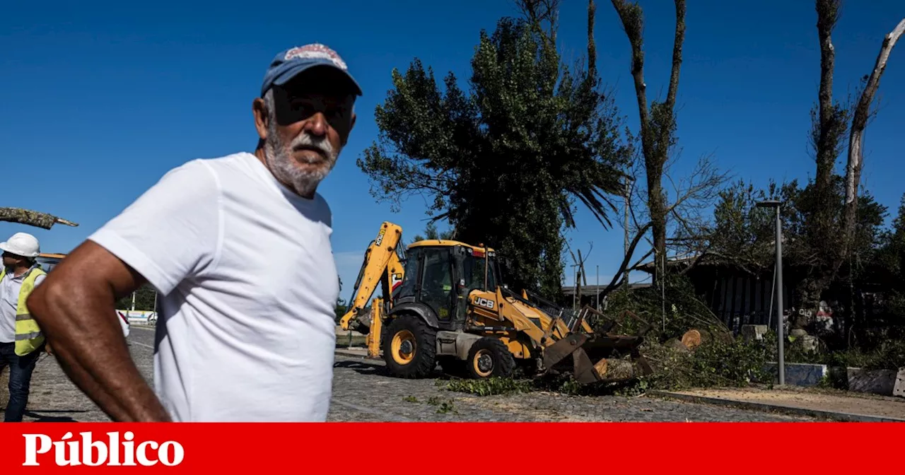 Há 50 anos um pescador-poeta abriu um bar que agora vai abaixo contra a vontade da família