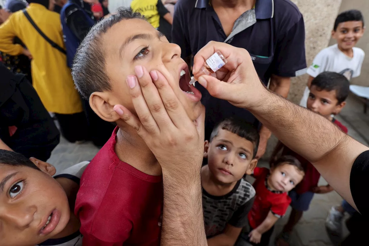 Polio vaccination targets surpassed for Gaza children, WHO says