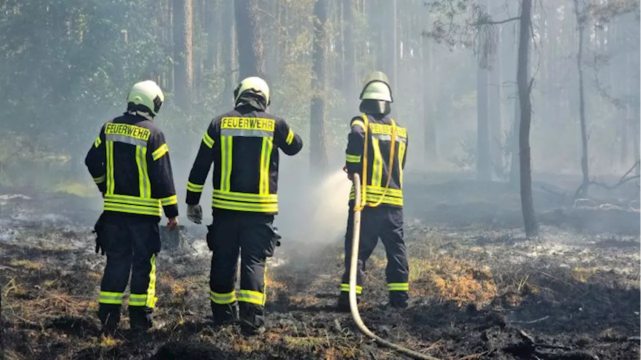 Brandenburg will Vorbeugung gegen Waldbrände verbessern