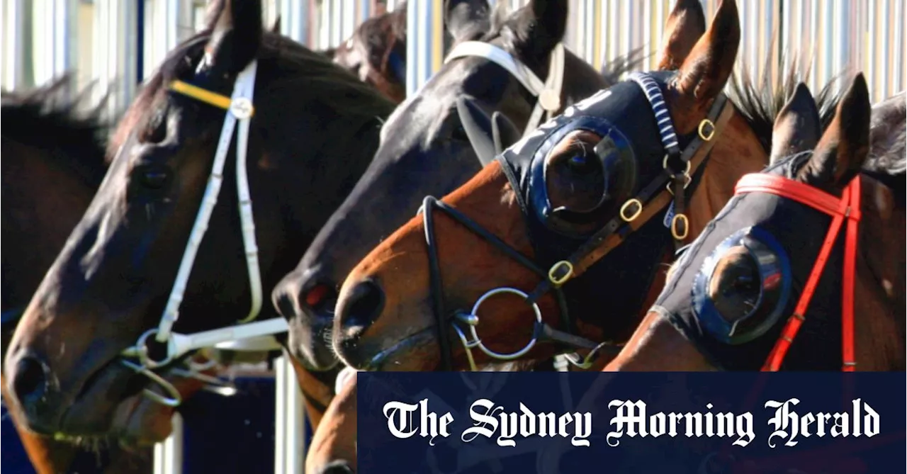 Race-by-race preview and tips for Warwick Farm on Wednesday