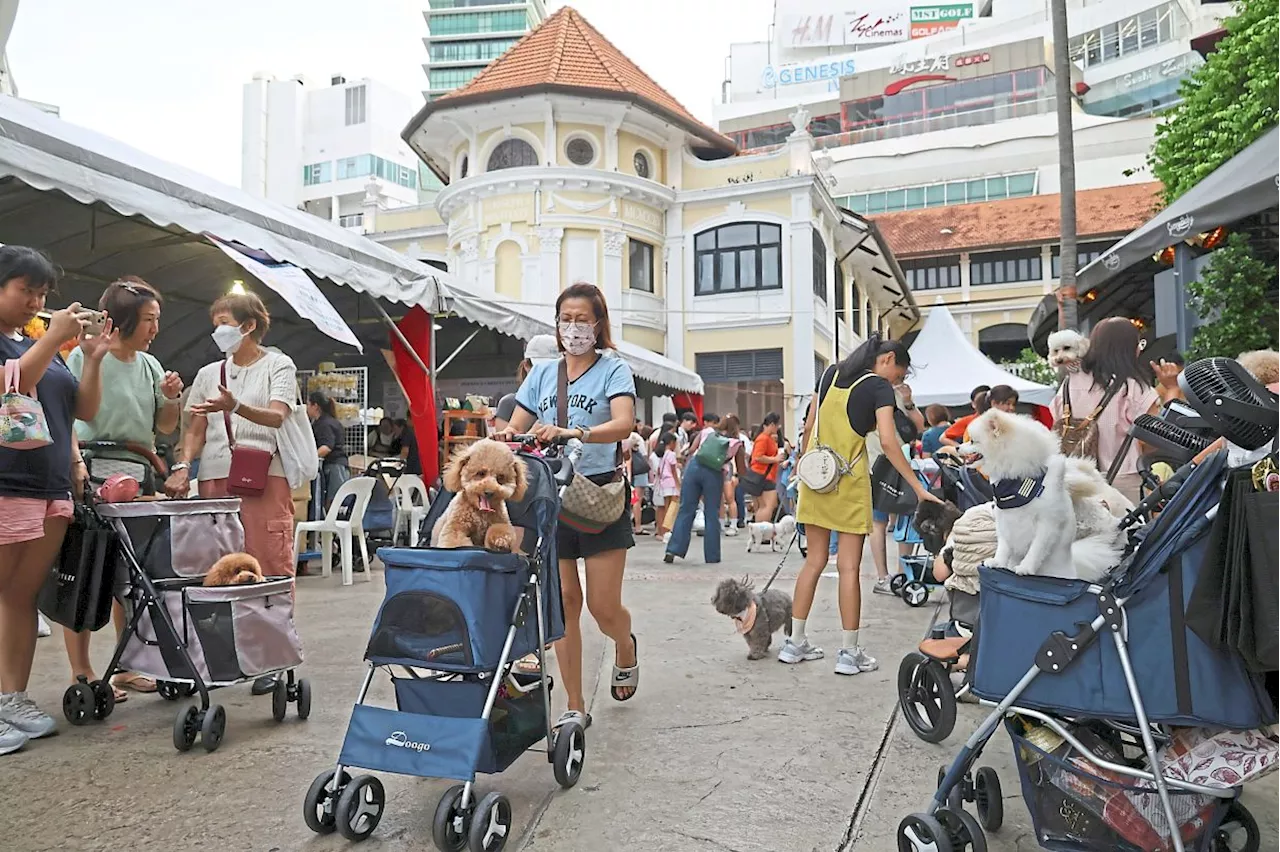 Penang pets, owners strengthen loving bonds