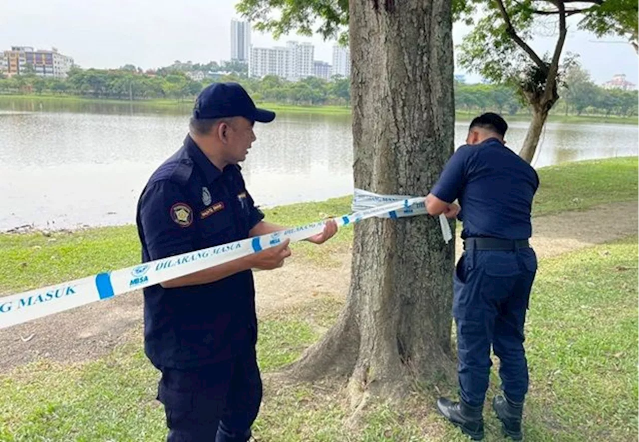 QuickCheck: Was a crocodile spotted at a lake in Shah Alam?