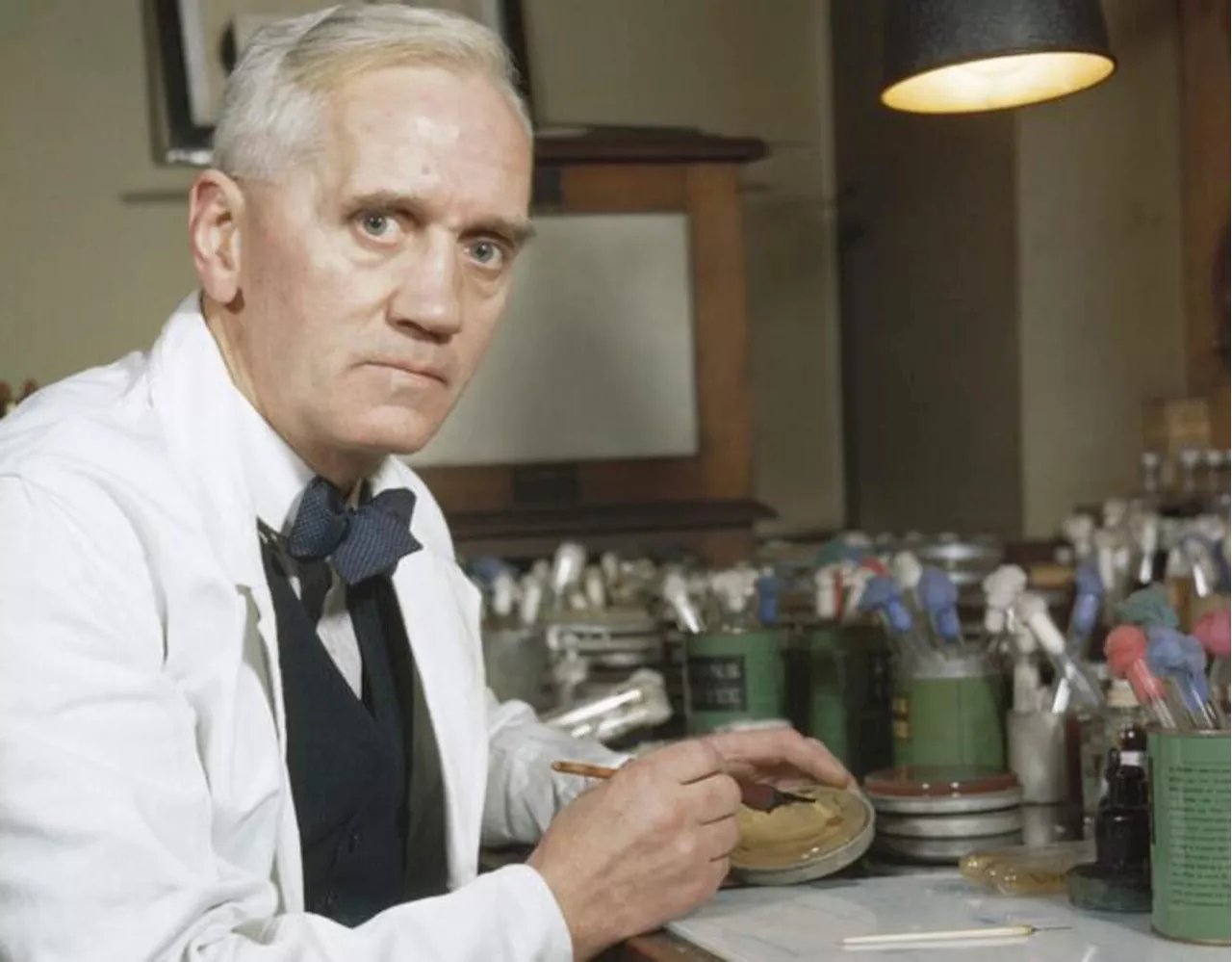 L’éphéméride du 3 septembre : en 1928, Alexander Fleming découvre la pénicilline