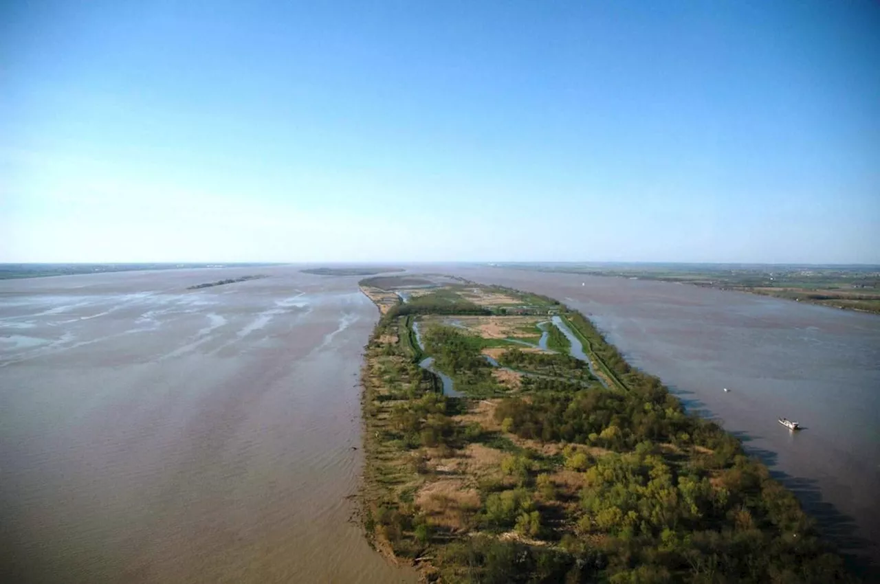 La magie des îles de l’estuaire de la Gironde : une merveille de la Nouvelle Aquitaine à (re) découvrir en images