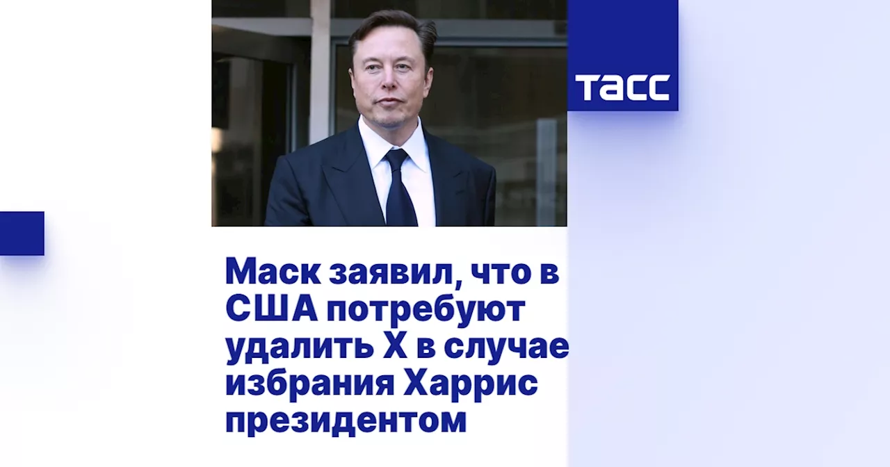 Маск заявил, что в США потребуют удалить X в случае избрания Харрис президентом