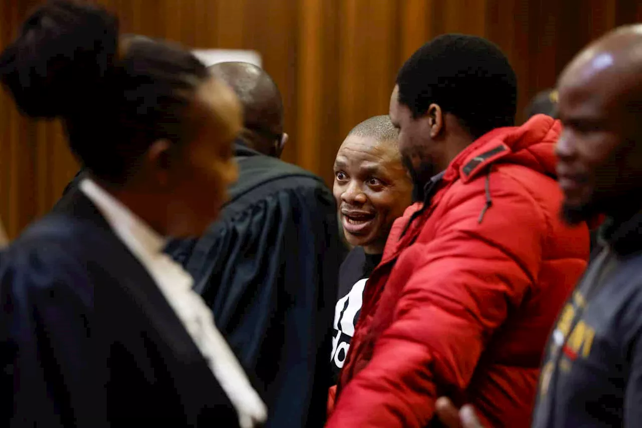 ‘You had it all wrong’: Defence in Senzo Meyiwa murder trial tells ballistics expert