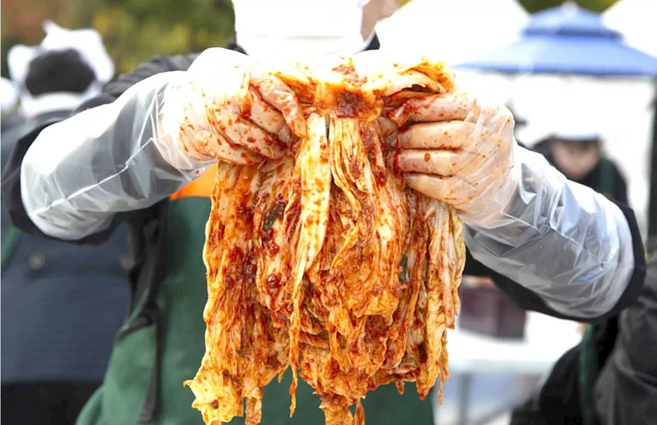 Climate change puts South Korea's kimchi at risk