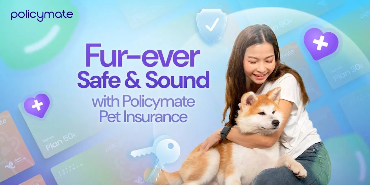 Policymate launches comprehensive pet insurance