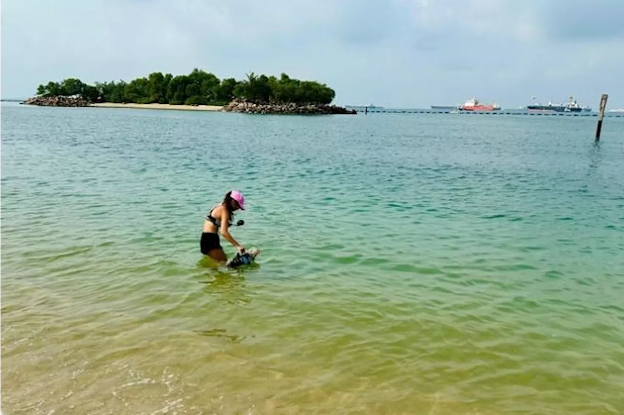 Tanjong Beach on Sentosa reopens for water activities