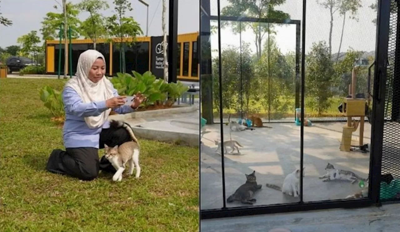 Klang Mayor Said Improvements Will Be Made To Taman Kucing Klang