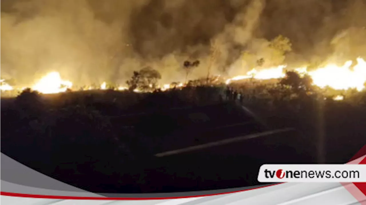 Kebakaran di Kawasan Wisata Majene, Hanguskan Belasan Hektar Lahan Perkebunan Warga