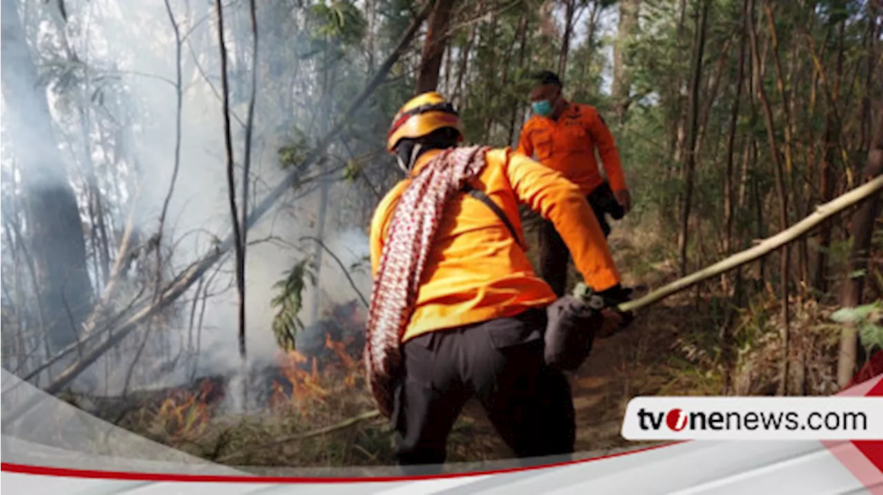 Kebakaran Hutan dan Lahan TNBTS Makin Meluas, Petugas Kesulitan Lakukan Pemadaman