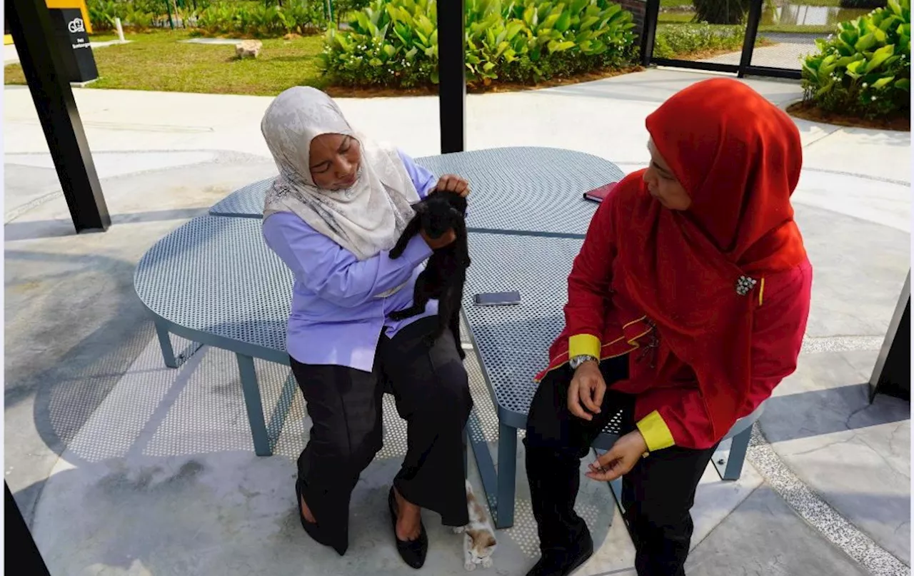 MBDK nafi kucing di Taman Kucing Klang terabai