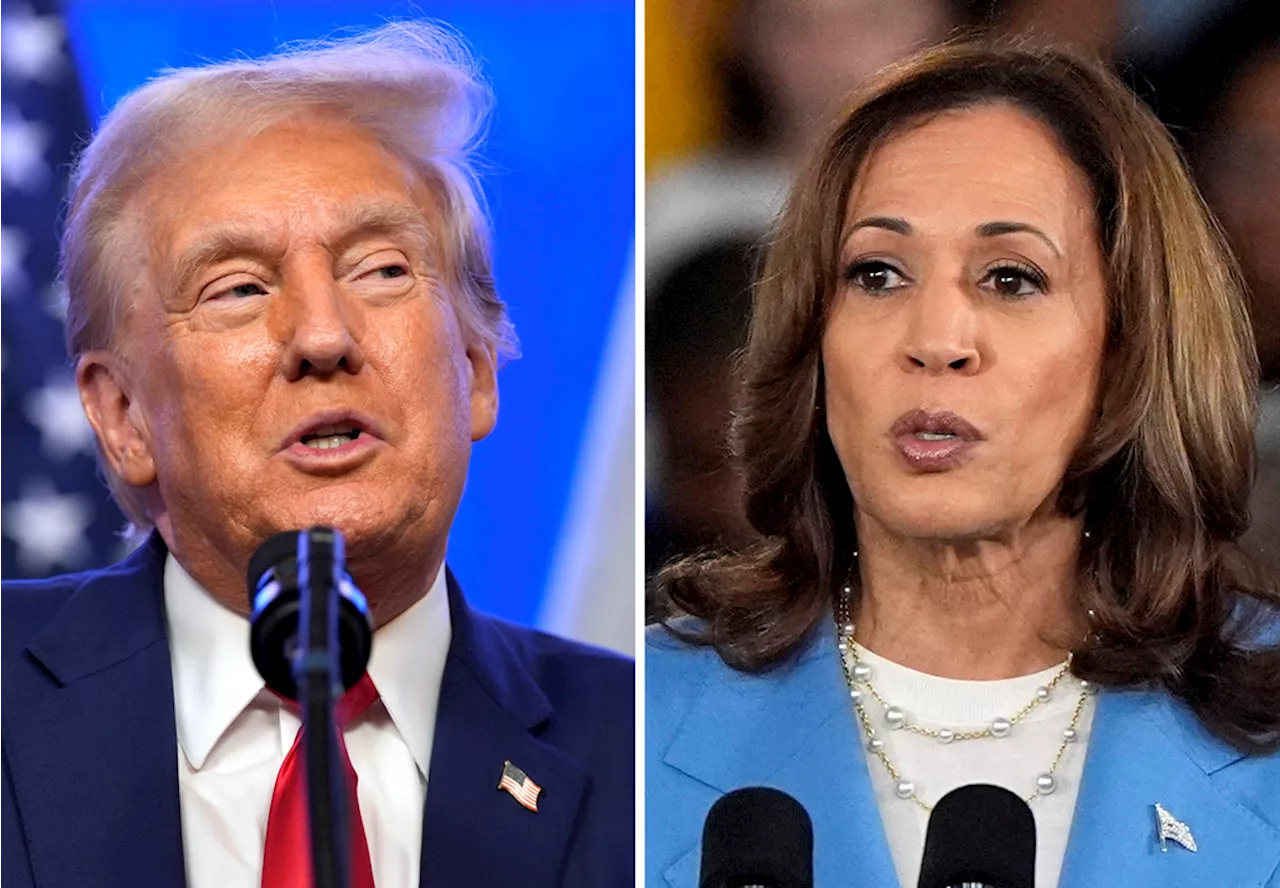 Quién gana y quién pierde dinero con las propuestas económicas de Harris y Trump