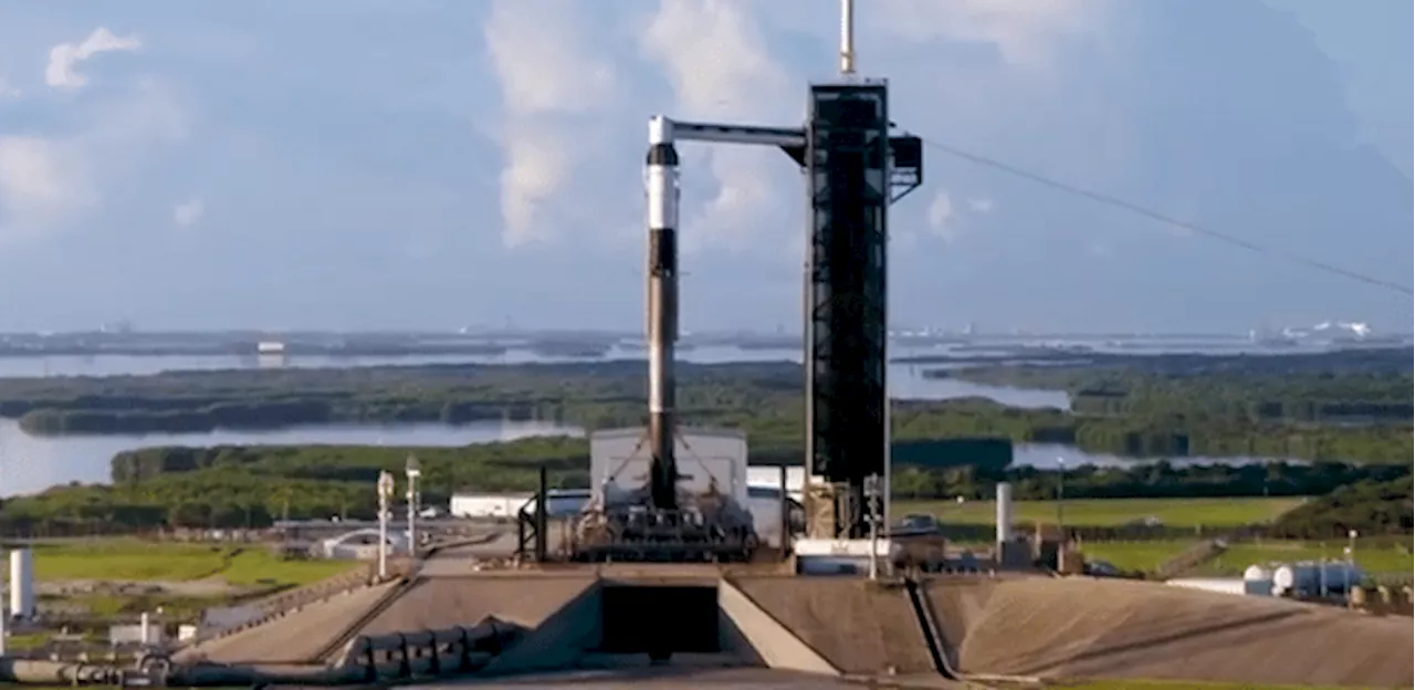 Polaris Dawn: SpaceX deve lançar missão privada na próxima sexta-feira