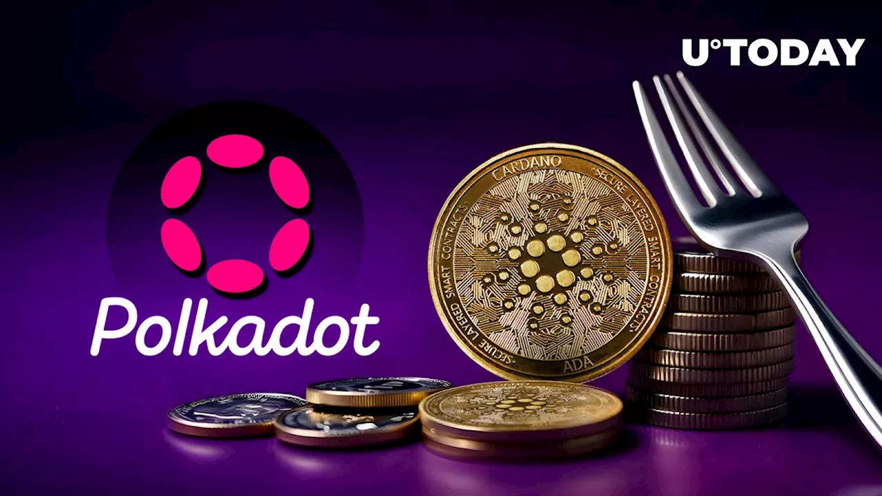 Cardano (ADA) Hard Fork Surprisingly Welcomed by Polkadot (DOT)