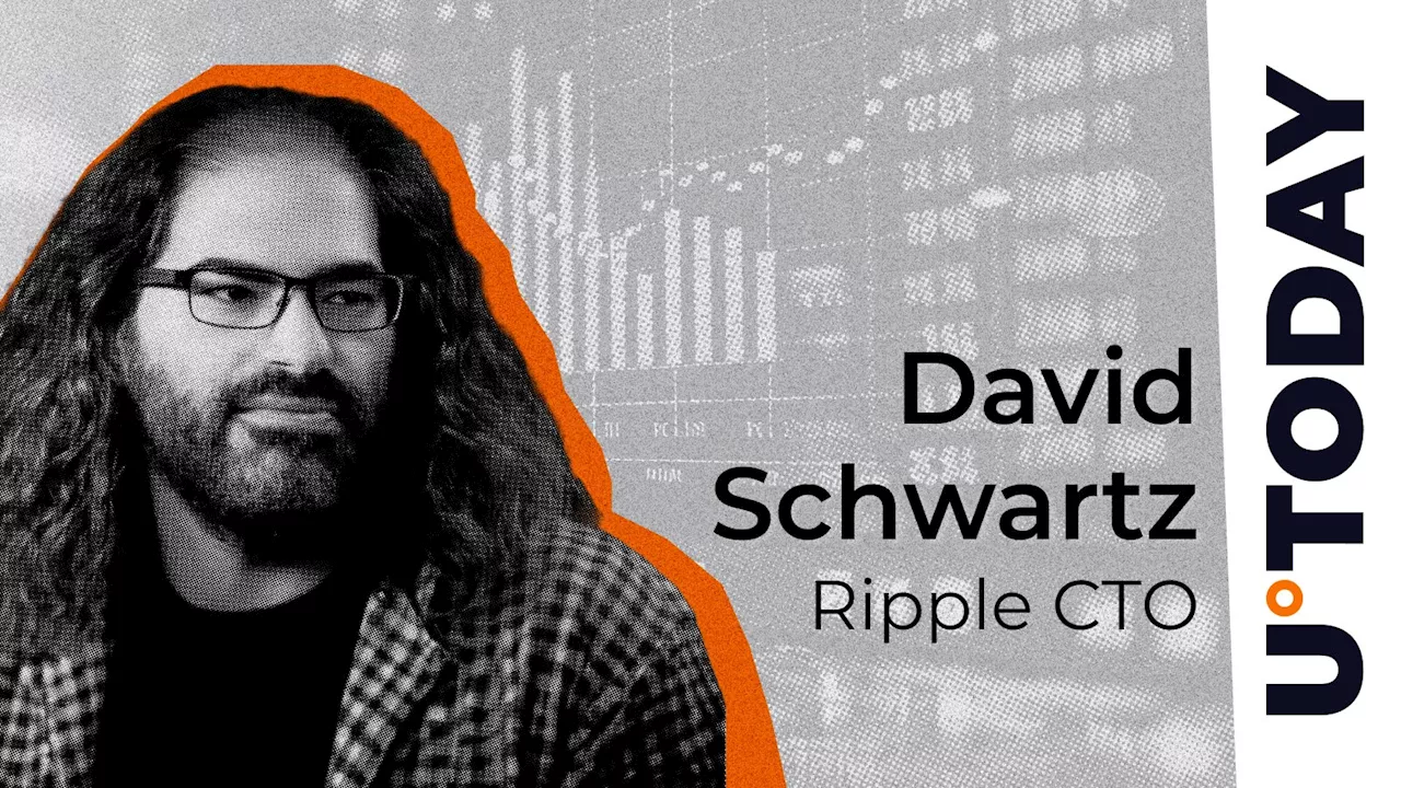 Ripple CTO Addresses Smart Contract Controversy