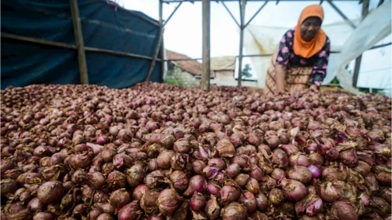 Daftar Harga Pangan 3 September 2024: Bawang Merah hingga Minyak Goreng Naik