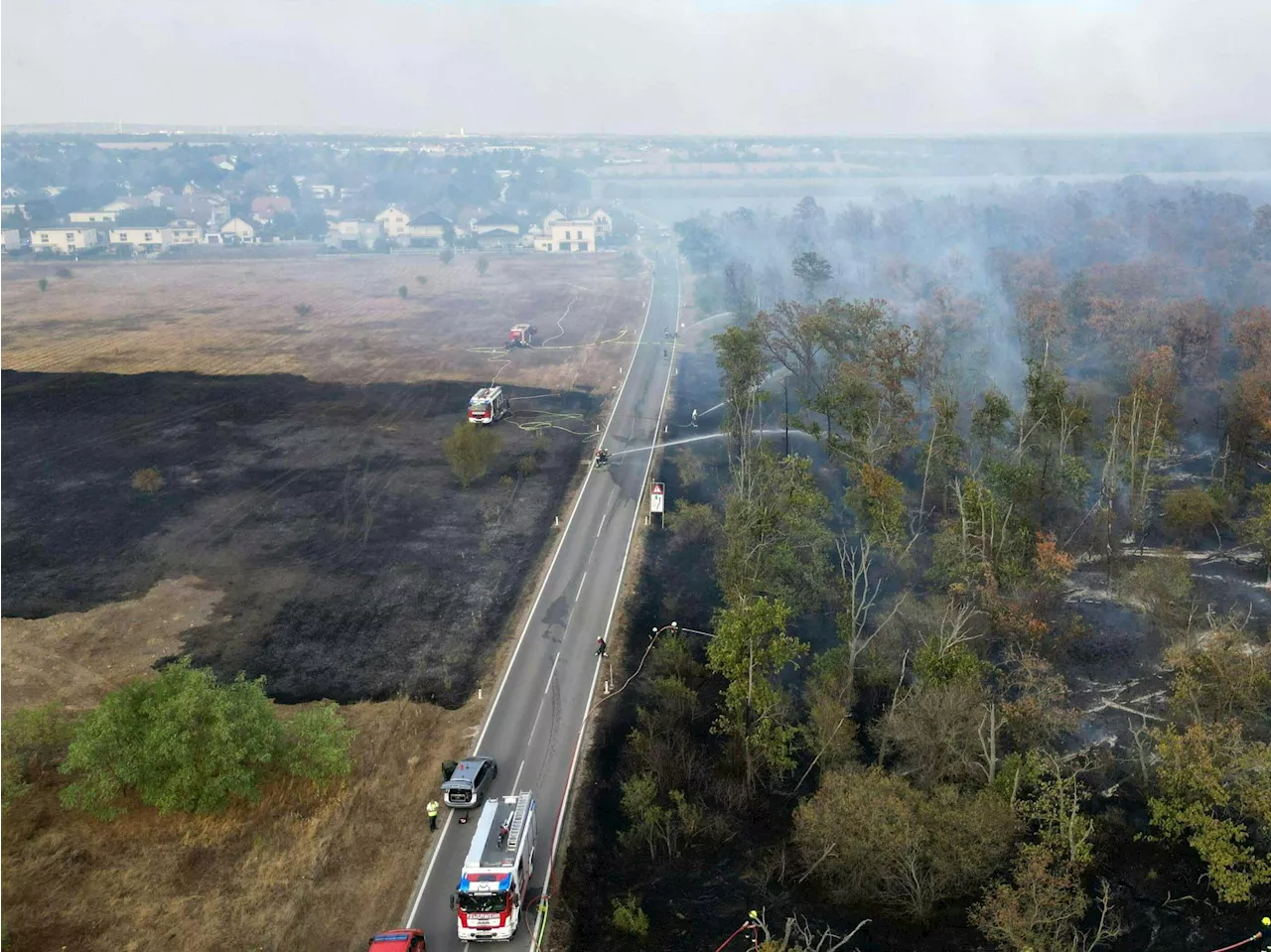 Waldbrand vor Wien: Löscharbeiten langwierig