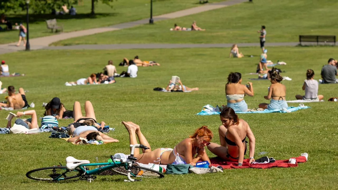 News des Tages: Wetter heute – DWD mit Warnung vor schweren Gewittern und Hitze