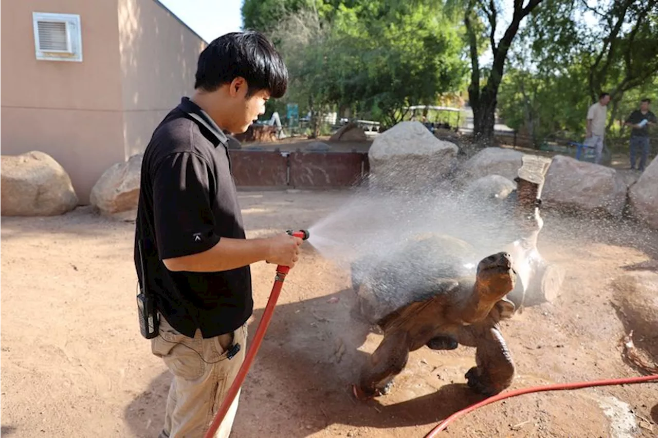 Western US braces for extreme heat; Phoenix passes 100 days over 100 degrees